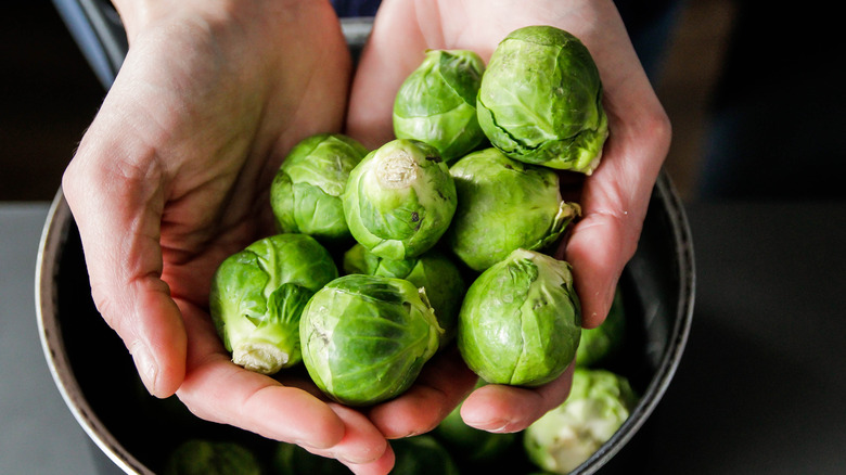 Hands holding Brussels sprouts