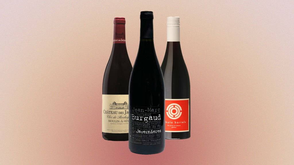 Best Gamay to buy in 2025