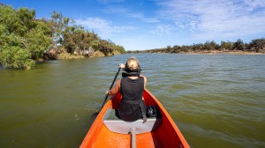 Kayaking in Australia 