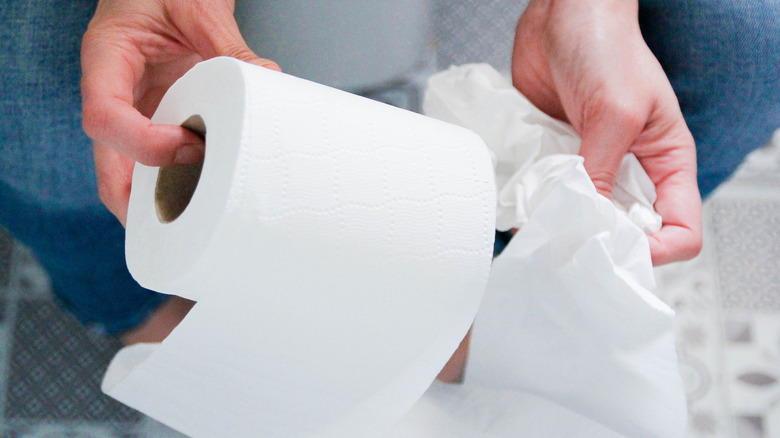 A person's hands holding a roll of toilet paper