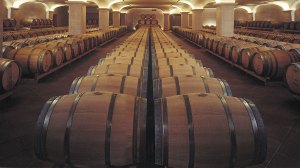 wines being aged in barrel in a cellar