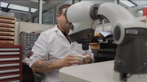 A watch specialist at Stoll & Co. inspects a watch for TGS grading