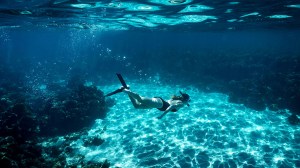 Snorkeling at Lord Howe