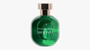 Arquiste A Grove by the Sea
