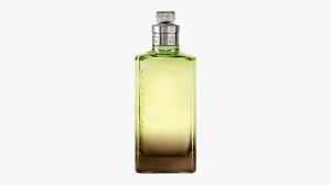 Dries Van Noten Mystic Moss