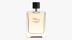 Terre d'Hermes Eau de Parfum Intense