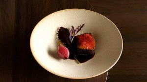 A dish at flock hill