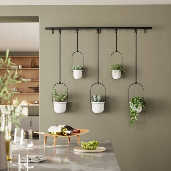 hang plants