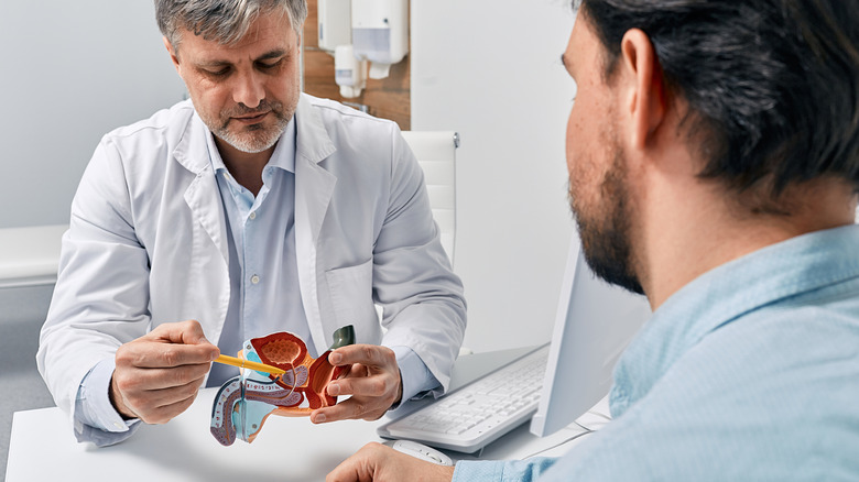 Doctor explaining prostate exam to a patient
