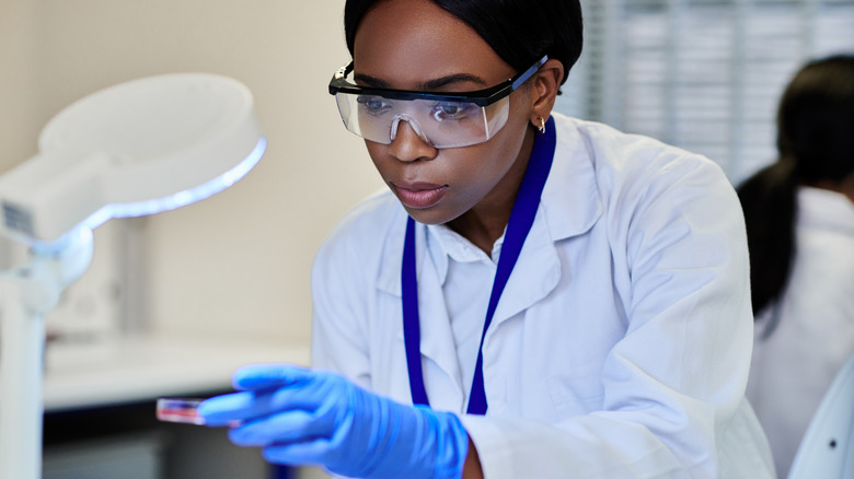female scientist examining findings from petri dish