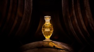 Eclat d'Ombre, Maison Psyché's sixth fragrance, is based on a chypre accord.