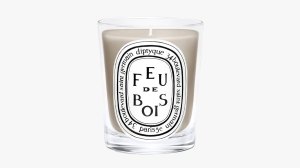 Diptyque Candle